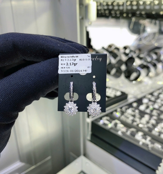 Bông Tai Bạch Kim VT750 VT11