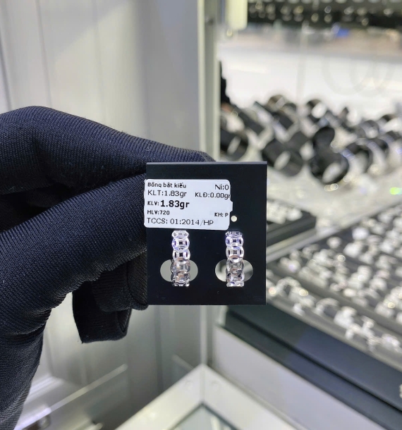 Bông Tai Bạch Kim VT750 VT13