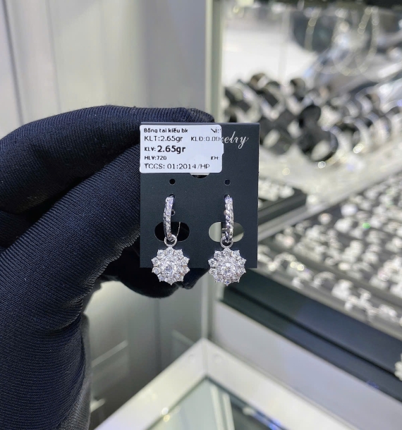 Bông Tai Bạch Kim VT750 VT14