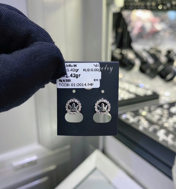 Bông Tai Bạch Kim VT750 VT25