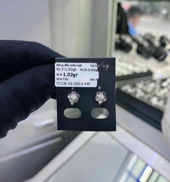 Bông Tai Bạch Kim VT750 VT35