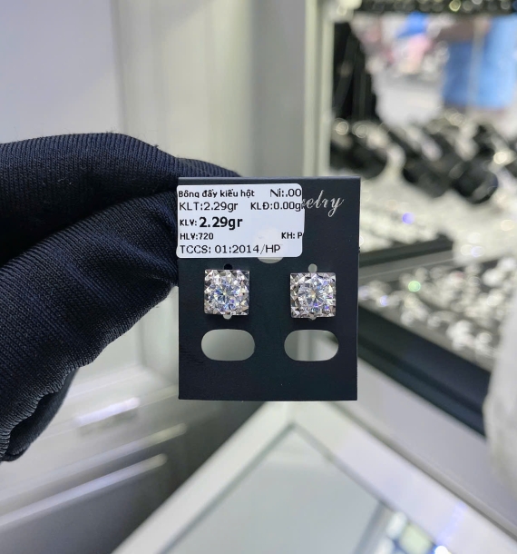 Bông Tai Bạch Kim VT750 VT39