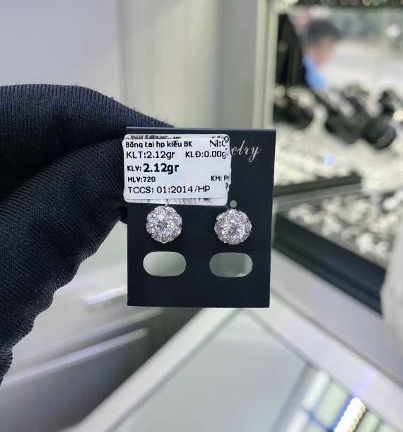 Bông Tai Bạch Kim VT750 VT41