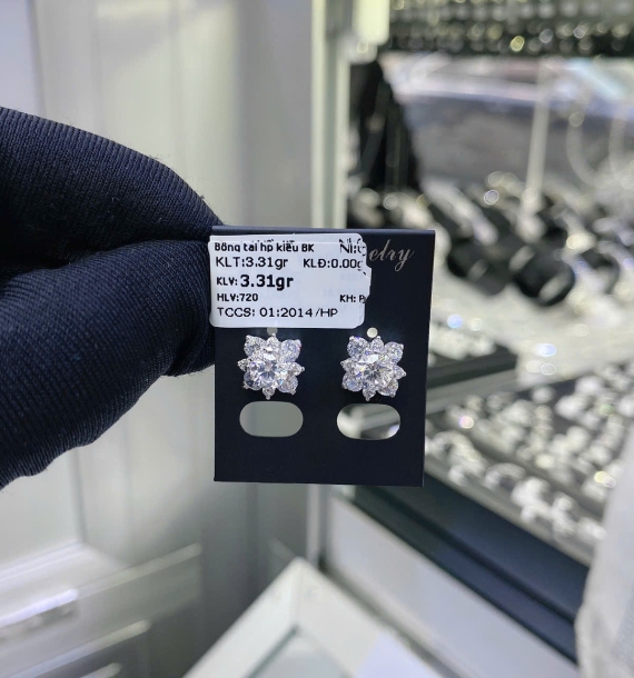 Bông Tai Bạch Kim VT750 VT60