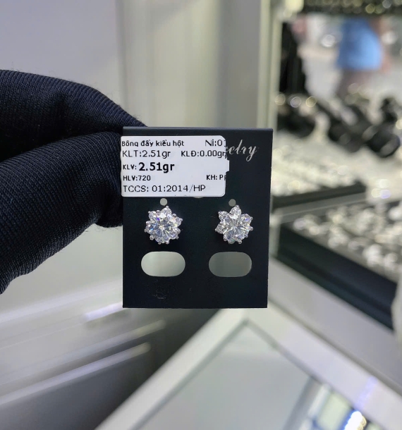 Bông Tai Bạch Kim VT750 VT64