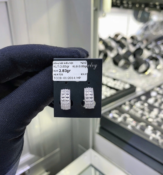 Bông Tai Bạch Kim VT750 VT7