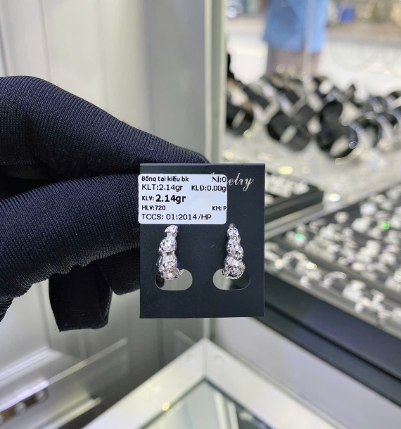 Bông Tai Bạch Kim VT750 VT73