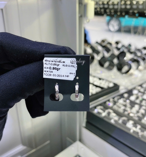 Bông Tai Bạch Kim VT750 VT85